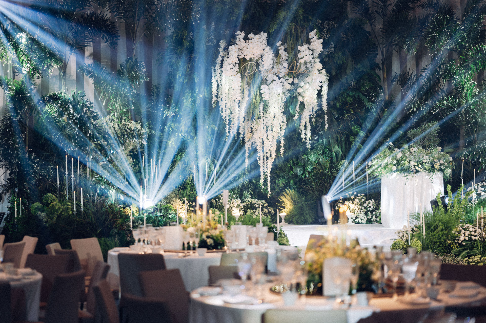 formal (0666 of 1173).jpg